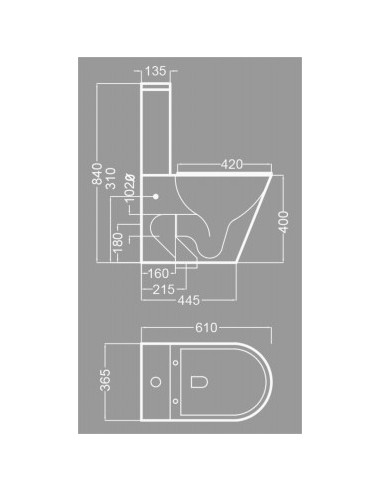 Inodoro WC Becrisa Serie Verde Dual