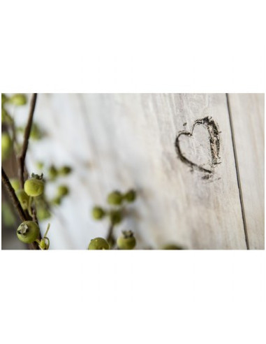 Revestimiento de paredes Element 3D...