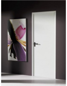 Puerta metálica lacada...