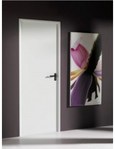 Puerta metálica lacada...