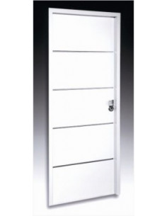 Puerta metálica seguridad...