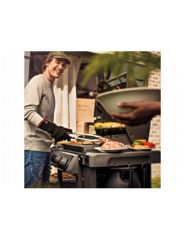 Barbacoa de gas Weber Genesis II...